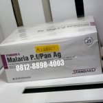 Product STANDARD Q Malaria P.f/PAN Ag 